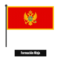 Flag Bandera Sticker by Formación Ninja
