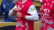 Esteghlal GIF