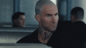 Adam Levine GIF by Maroon 5