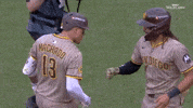 San Diego Padres GIF by MLB