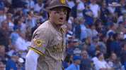 San Diego Padres GIF by MLB