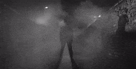 punk rock shadow GIF by Pure Noise Records