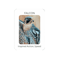 Bird Eagle Sticker