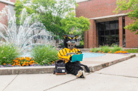 uwmilwaukee funny mascot university campus GIF