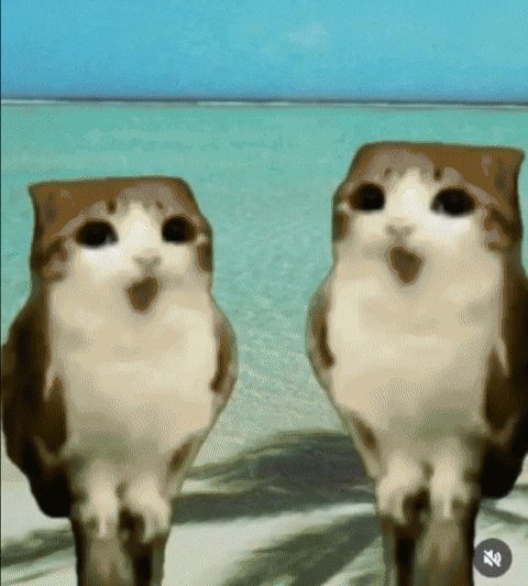 Twin GIF