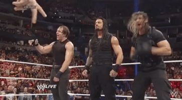 the shield wrestling GIF by WWE