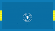 Gol GIF by FK Teplice
