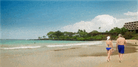 hawaii GIF