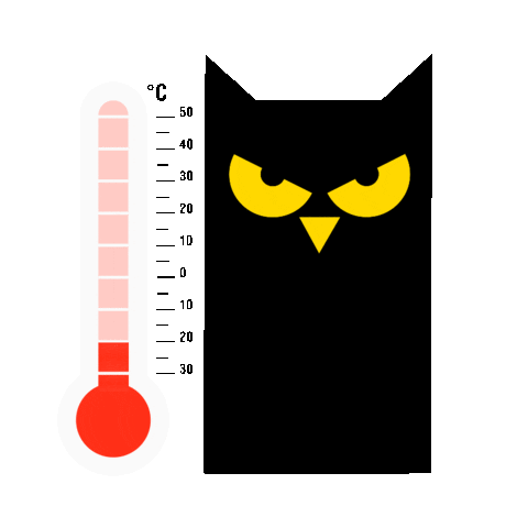 Summer Energy Sticker by GUARANA