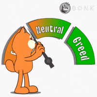 Crypto Fear GIF by BONK