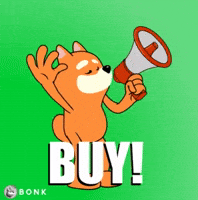Crypto Buy GIF by BONK