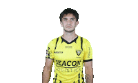 Sedlacek Celebrating Sticker by VVV-Venlo