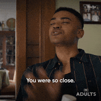 Fx Networks Hulu GIF by Adults