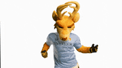 GIF by Venados FC