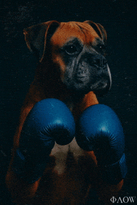 Love Dogs Dog GIF by George Longovitis
