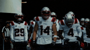 Football Nfl GIF by New England Patriots
