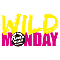 flashbacksalou dance party monday club Sticker