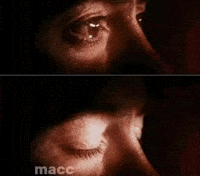 Macc GIF