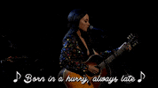 stephen colbert GIF
