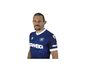 Soccer Goal Sticker by Karlsruher SC