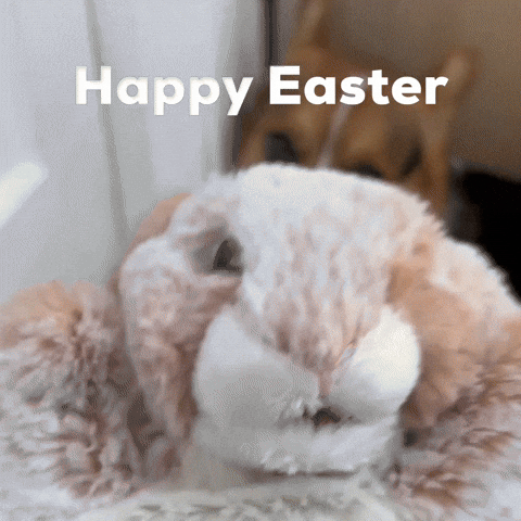 Dog Easter GIF