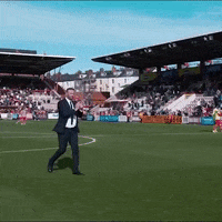 officialbwfc celebration fist pump wanderers exeter GIF