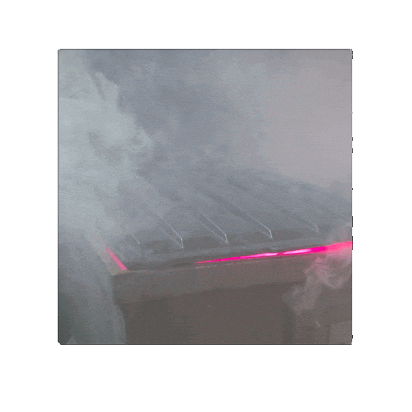 Return Of The King Survivor Sticker