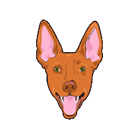 Dog Podenco Sticker by Patitas Barcelona