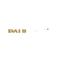 PaulDavisCTIL logo fire paul flood Sticker