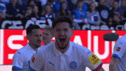 Bundesliga Ksv GIF by Holstein Kiel