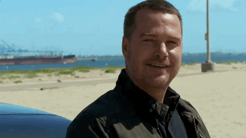 Ncis Los Angeles Hetty Lange GIF by CBS