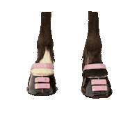 Horse Sticker by Scootbootsdownunder