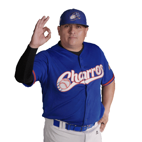 Sport Baseball Sticker by Charros de Jalisco