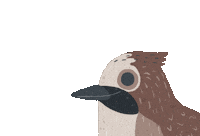 Bird Jay Sticker by Сойкин след