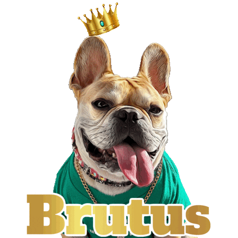 French Bulldog Sticker by Pimp Yo Pets
