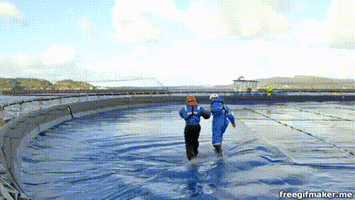 walking on water GIF