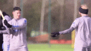 Sword Fight Everton Stickers GIF by Everton Football Club