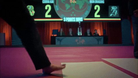 TT5MTM cobra kai cobrakai johnny lawrence sensei wolf GIF