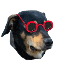 Dog Love Sticker by Buscamos Casita