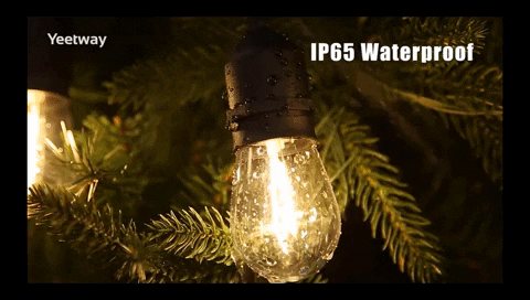 margotalva giphyupload GIF