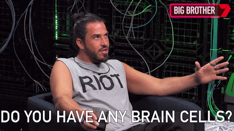 Are You Stupid Big Brother GIF by Big Brother Australia