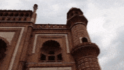 new delhi GIF by bypriyashah