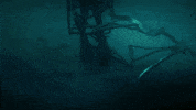 Josh Lucas Sharks GIF by The Avenue Film