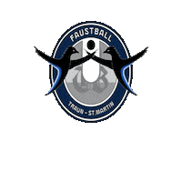 Sport Ball Sticker by Faustball Traun - St.Martin