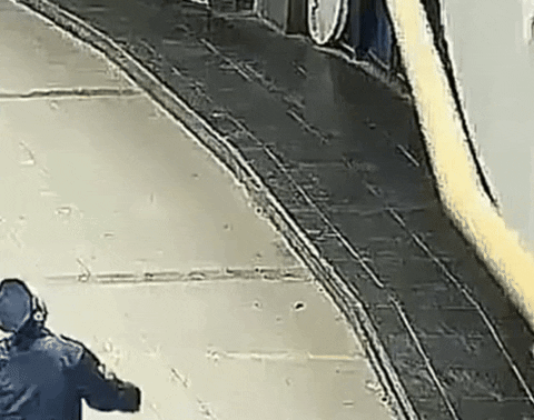 yj_jane giphyupload GIF