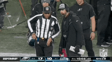 National Football League GIF by NFL