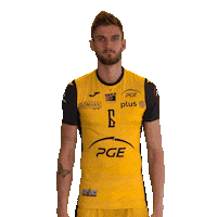 Belchatow Sticker by PGE Skra Bełchatów