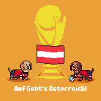World Cup Austria GIF by HotDogs