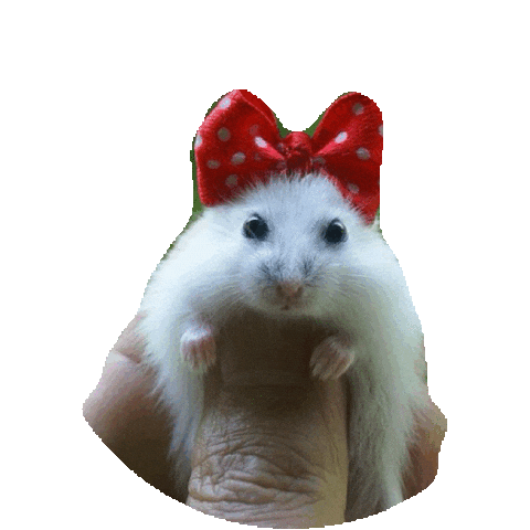 hamster STICKER by imoji