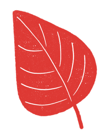 Autumn Leaf Sticker by Daniela Nachtigall